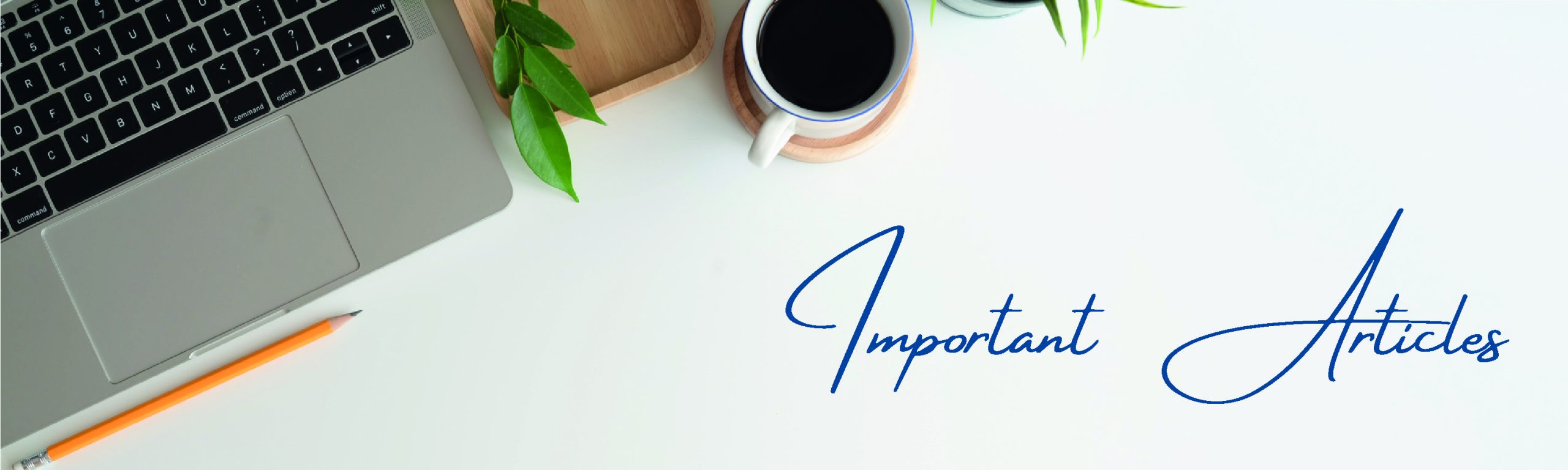 important articles